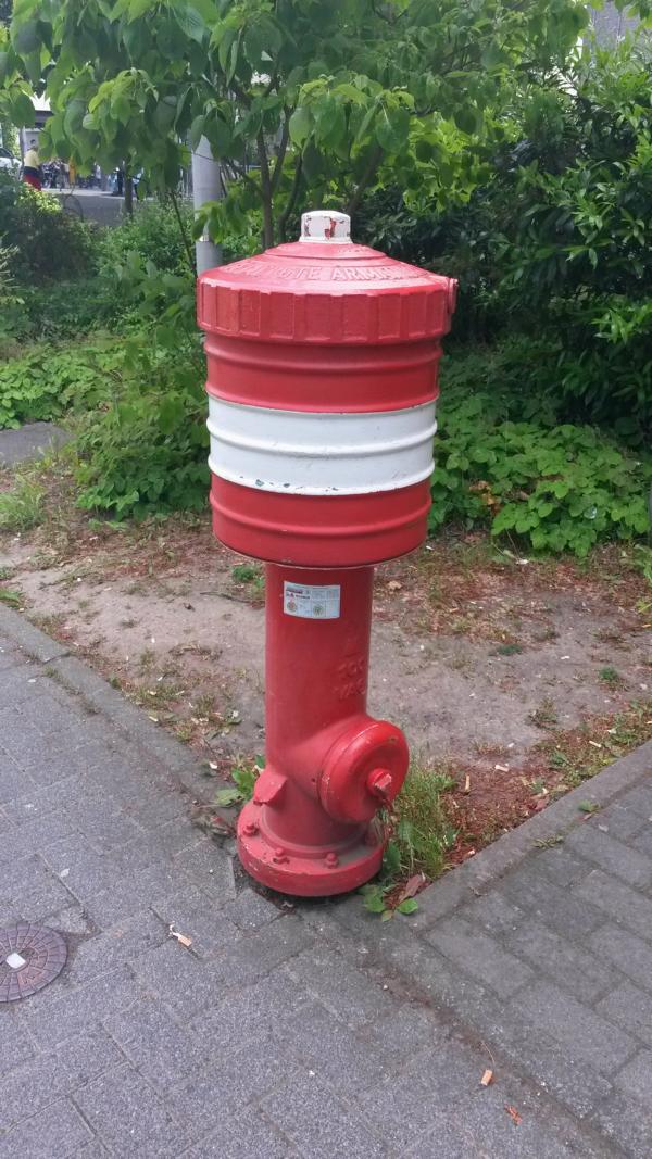 Dotzheim